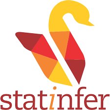 Statinfer Logo